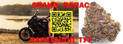 прущая мука Будённовск