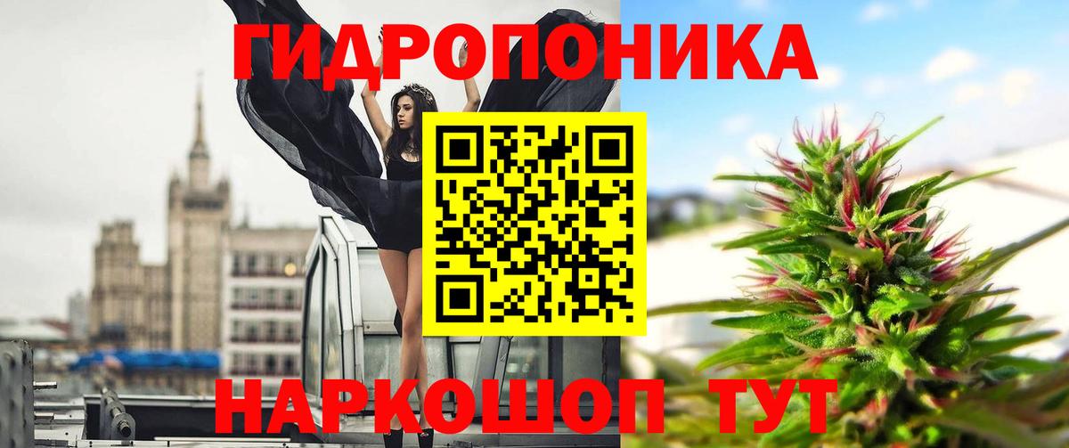 Бошки Шишки OG Kush  Бошки марихуана ГИДРОПОН  Вход с VPN  Сосновый Бор  Бошки Шишки SATIVA & INDICA  Бошки марихуана планчик 